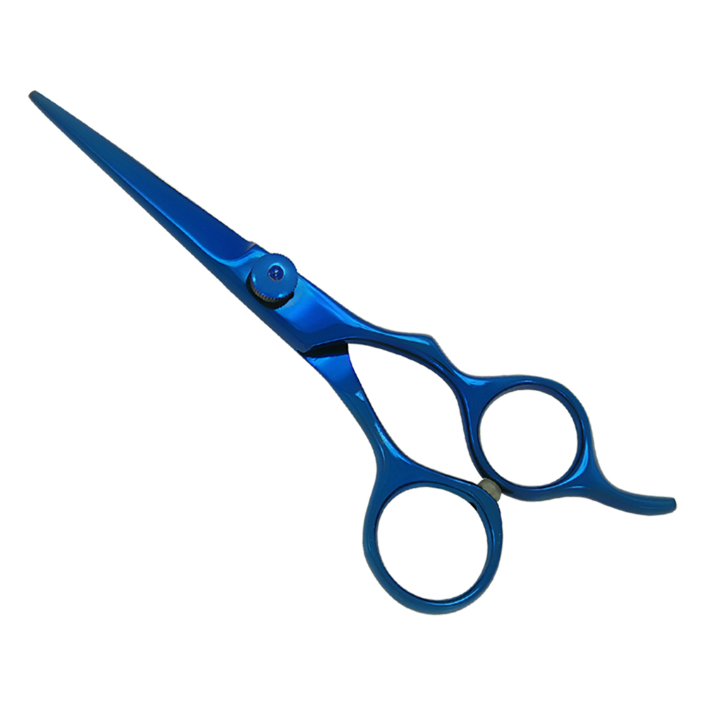 Hair Cutting Scissors (Model: MBT-14137)